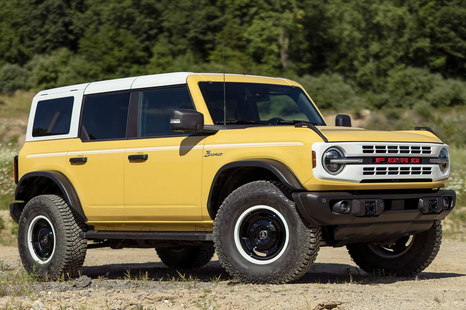 Ford Bronco r